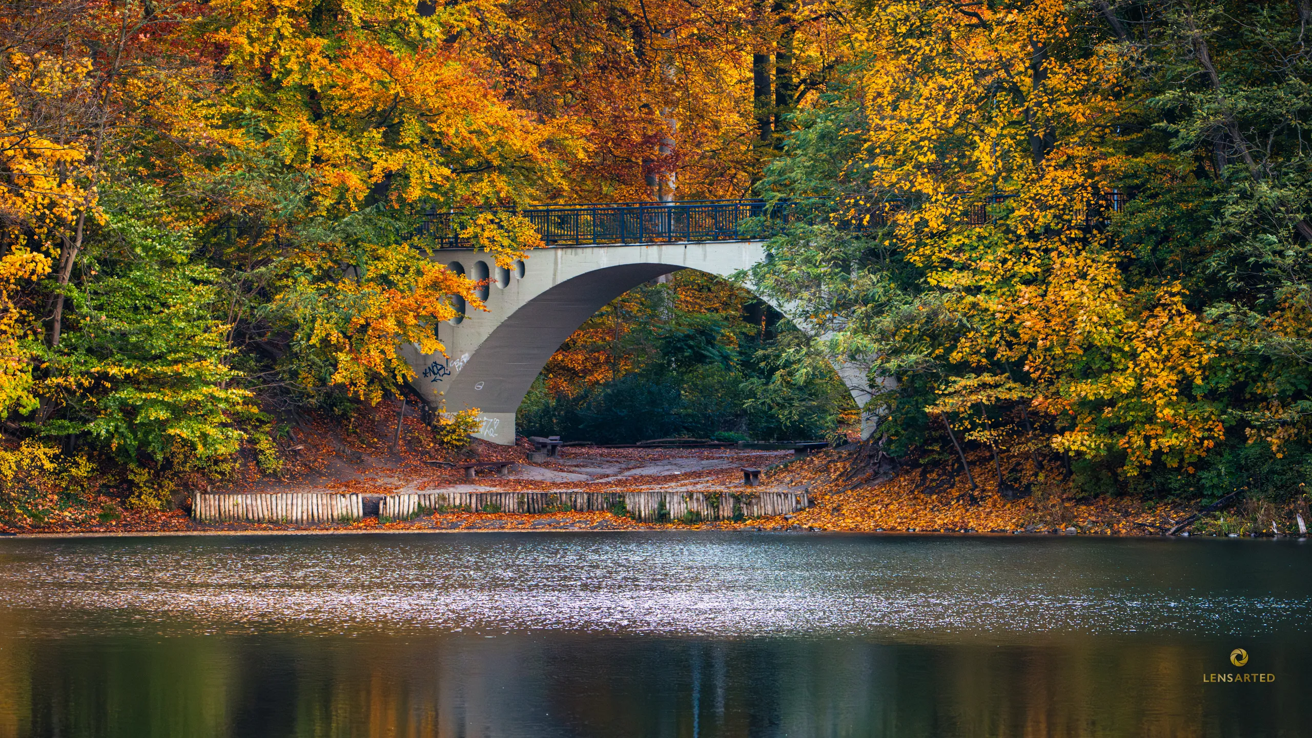 Jesień 2025 – seria zdjęć LensARTed